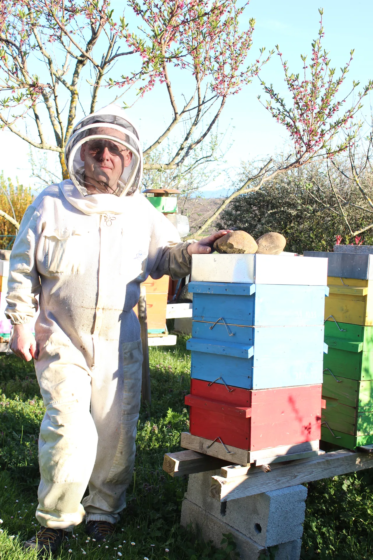 L'instant doré : Notre miel sous le soleil de l'Isère.