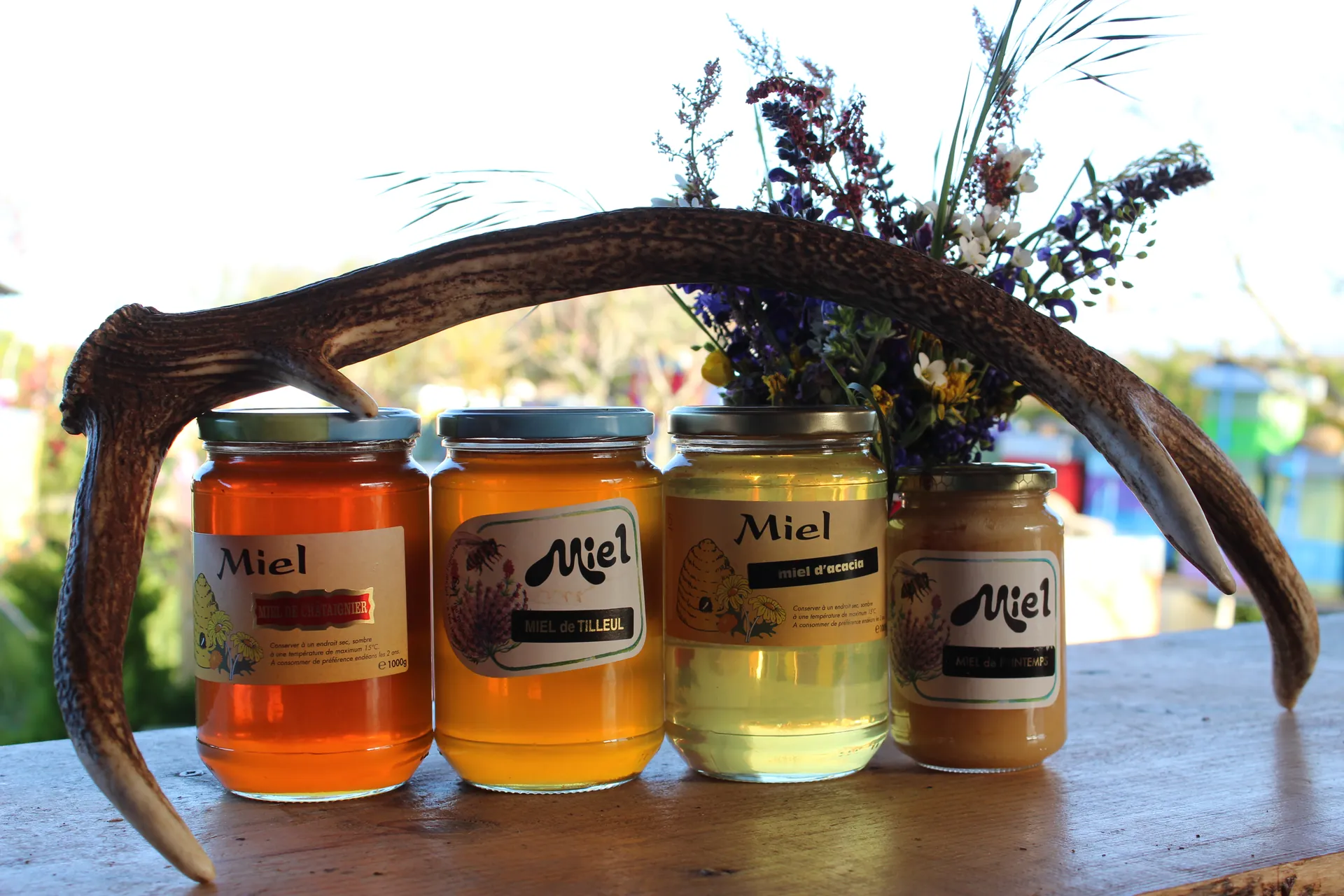 Sérénité : Nos abeilles au cœur de la nature.